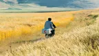 BAD MA RA KHAHAD BORD