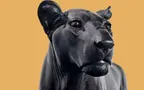 Tiere sind auch nur Menschen